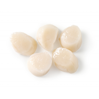 Premium Canadian Scallop IQF (9-10CM/PC, 2.27KG/PKT)
