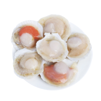 Half Shell Scallop (8-9CM/PC, 1KG)