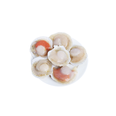 Half Shell Scallop (8-9CM/PC, 1KG)