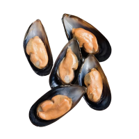 Half Shell Mussel (1KG)