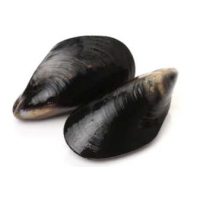 Full Shell Mussel (1KG)