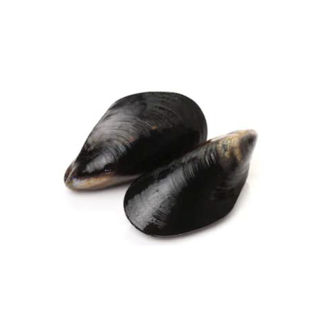 Full Shell Mussel (1KG)