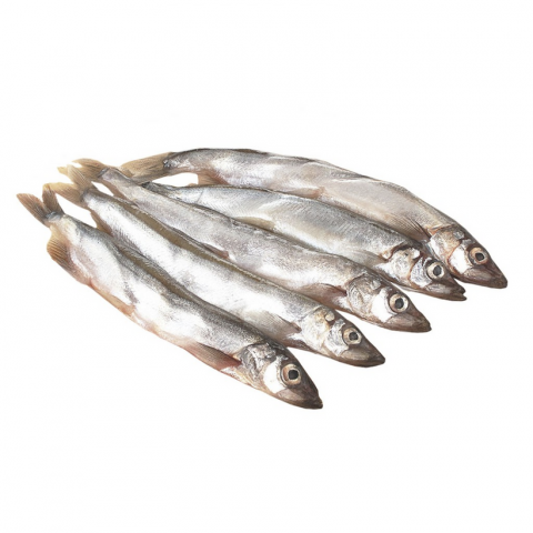 Shishamo (8PC, 120G)