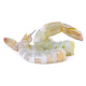 21/25 Grey Prawn IQF PDTO (1KG)
