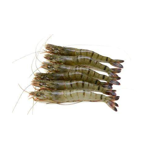31/40 Black Tiger Prawn Shell on (1KG)