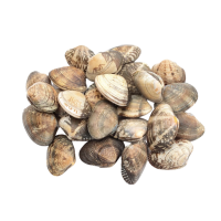 Japanese Asari Boiled Clam (500G)