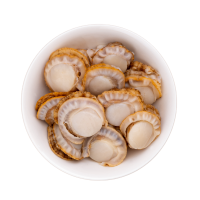 Boiled Scallop (80-100PC, 1KG)