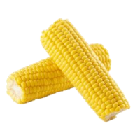 Frozen Corn on Cob (1KG)