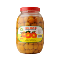 Sin Guo Shantou Salted Plum (2KG)
