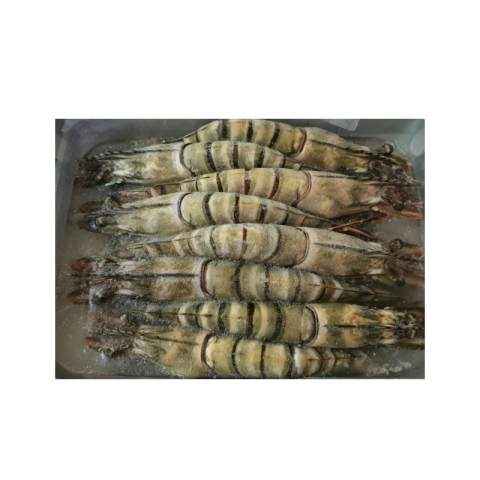 Black Tiger HOSO Prawn 16/20